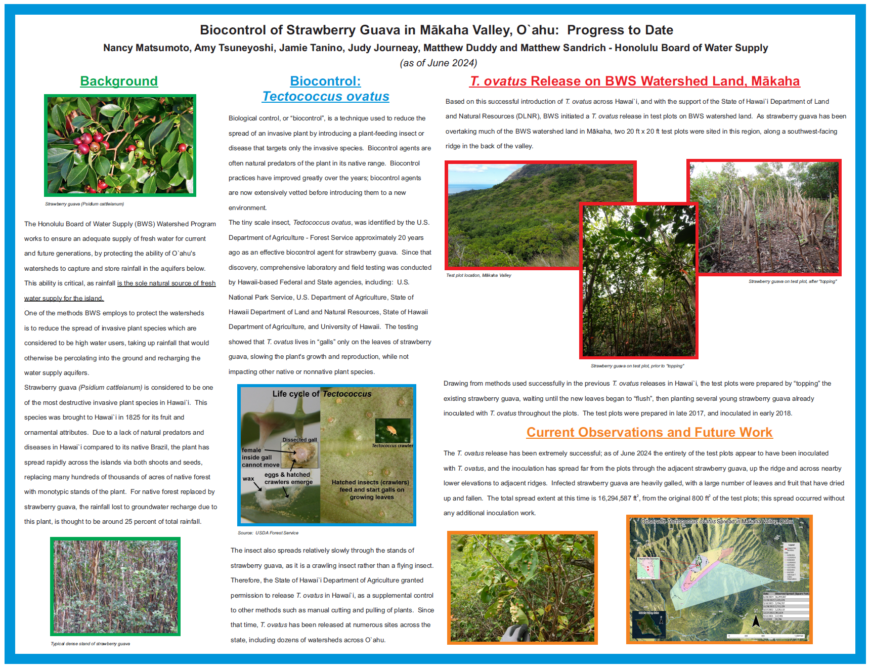 biocontrol of strawberry guava in mahaka valley