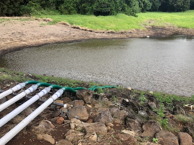 nuuanu dam siphoning water level