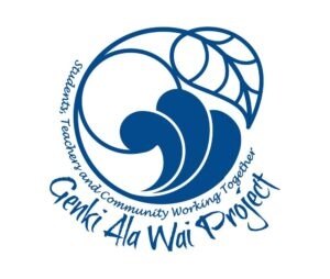 city and county of honolulu