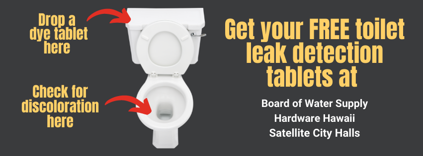 detect a leak week banner