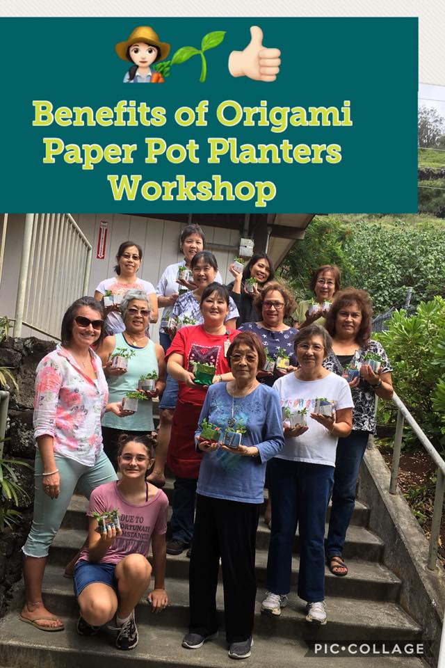 Benefits of Origami Paper Pot Planters