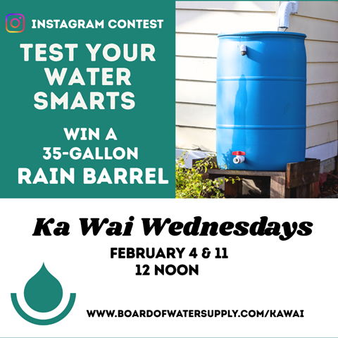 Test your water smarts | Win a 35-gallon rain barrel | February 4 & 11, 2026